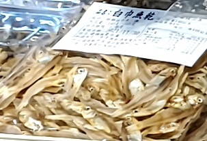 白巾魚